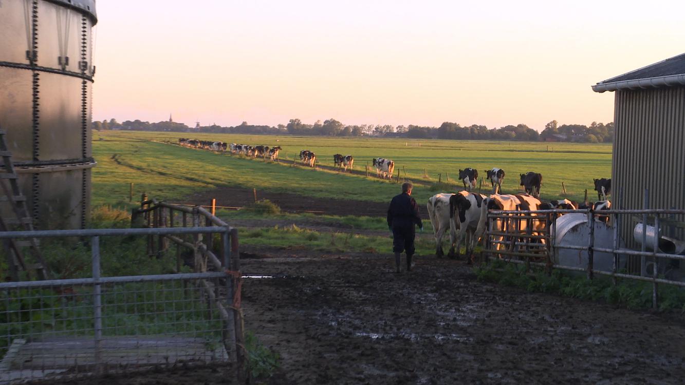 De Balie kijkt: Veearts Maaike